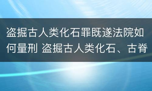 盗掘古人类化石罪既遂法院如何量刑 盗掘古人类化石、古脊椎动物化石罪