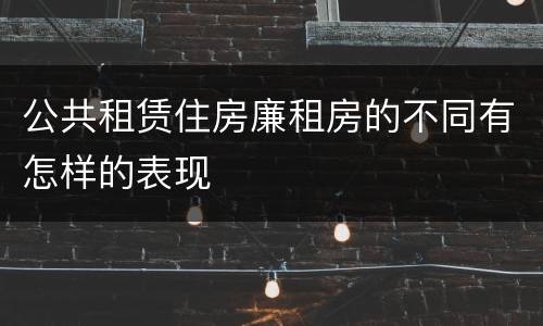公共租赁住房廉租房的不同有怎样的表现