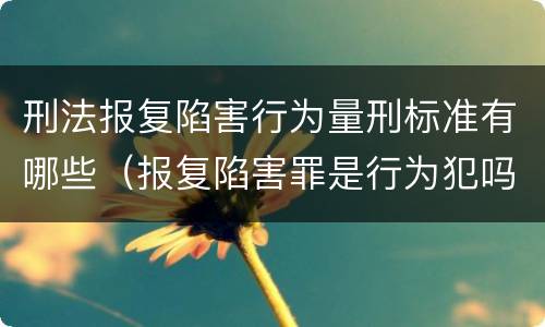 刑法报复陷害行为量刑标准有哪些（报复陷害罪是行为犯吗）