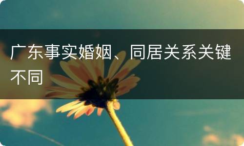 广东事实婚姻、同居关系关键不同