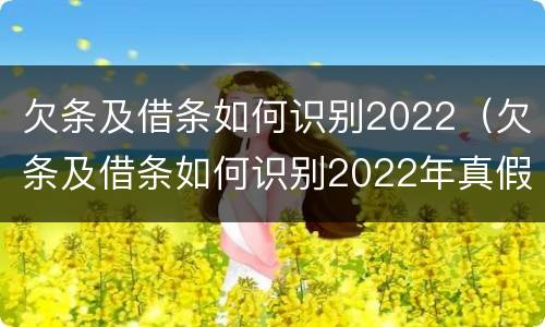 欠条及借条如何识别2022（欠条及借条如何识别2022年真假）