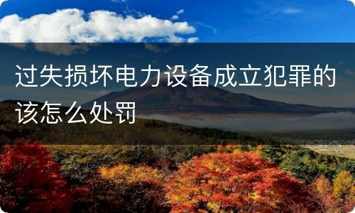 过失损坏电力设备成立犯罪的该怎么处罚