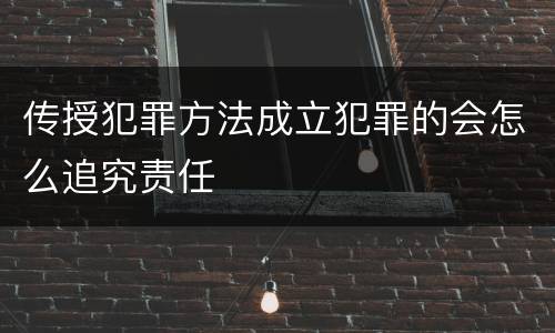 传授犯罪方法成立犯罪的会怎么追究责任