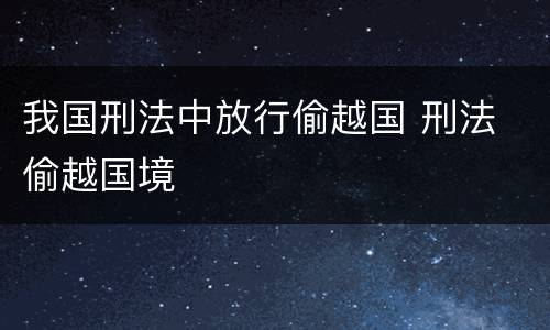 我国刑法中放行偷越国 刑法 偷越国境