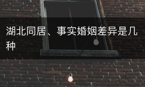 湖北同居、事实婚姻差异是几种