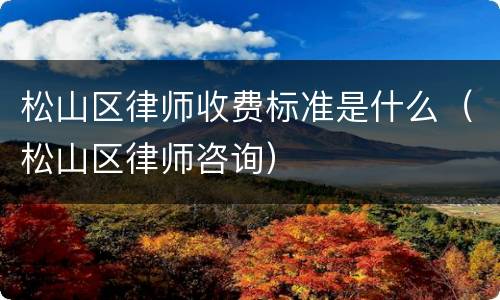 松山区律师收费标准是什么（松山区律师咨询）