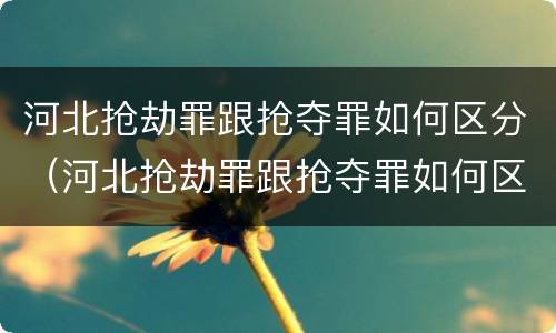 河北抢劫罪跟抢夺罪如何区分（河北抢劫罪跟抢夺罪如何区分判刑）