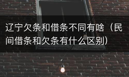 辽宁欠条和借条不同有啥（民间借条和欠条有什么区别）