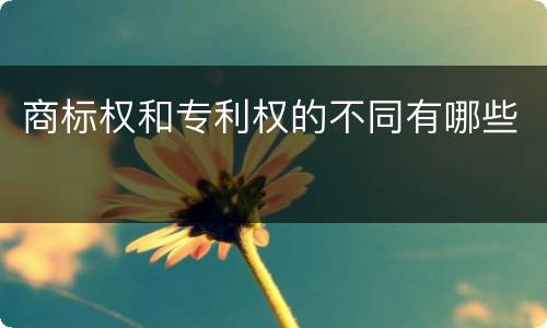 商标权和专利权的不同有哪些
