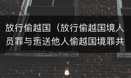放行偷越国（放行偷越国境人员罪与运送他人偷越国境罪共犯）