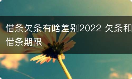 借条欠条有啥差别2022 欠条和借条期限