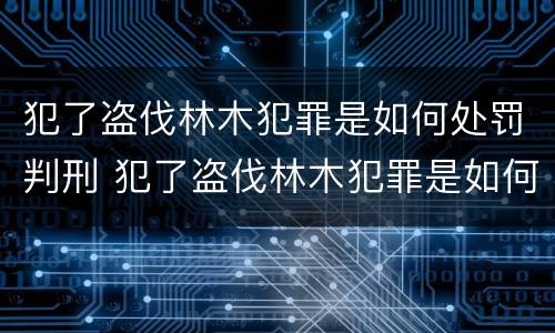 犯了盗伐林木犯罪是如何处罚判刑 犯了盗伐林木犯罪是如何处罚判刑的