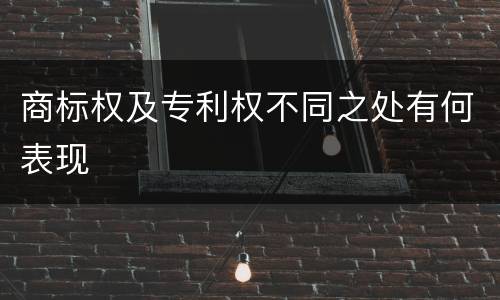 商标权及专利权不同之处有何表现