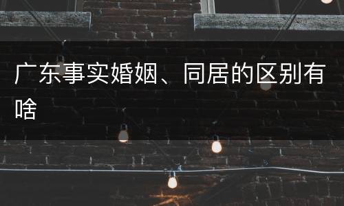 广东事实婚姻、同居的区别有啥