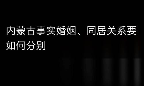 内蒙古事实婚姻、同居关系要如何分别