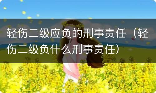 轻伤二级应负的刑事责任（轻伤二级负什么刑事责任）
