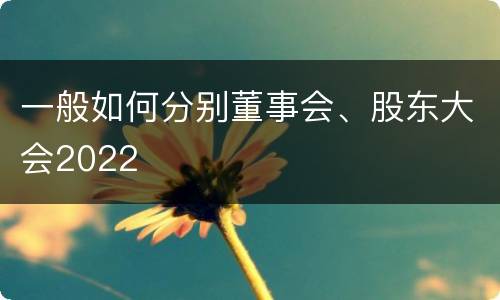 一般如何分别董事会、股东大会2022
