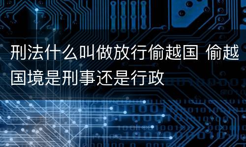 刑法什么叫做放行偷越国 偷越国境是刑事还是行政