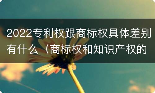 2022专利权跟商标权具体差别有什么（商标权和知识产权的区别）