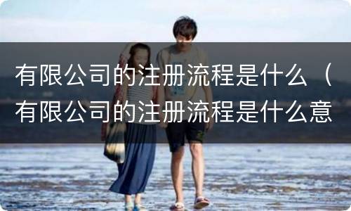 有限公司的注册流程是什么（有限公司的注册流程是什么意思）
