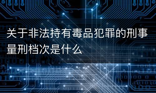 关于非法持有毒品犯罪的刑事量刑档次是什么