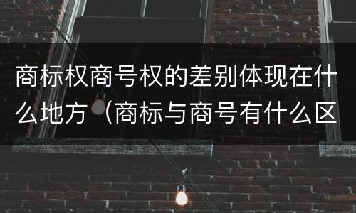 商标权商号权的差别体现在什么地方（商标与商号有什么区别）