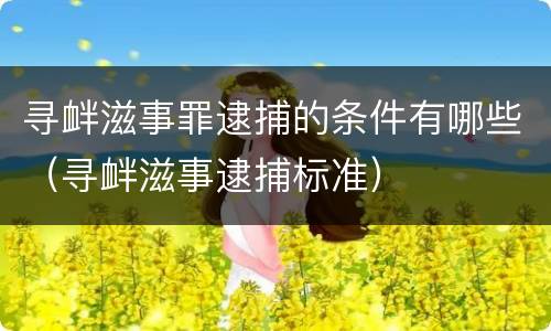 寻衅滋事罪逮捕的条件有哪些（寻衅滋事逮捕标准）