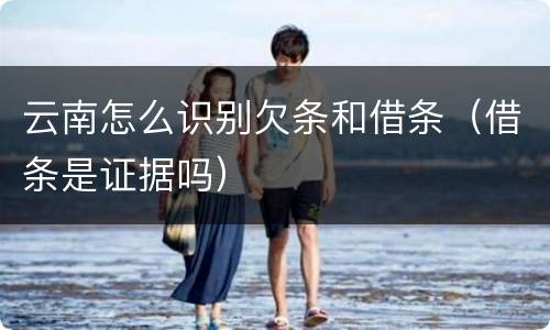 云南怎么识别欠条和借条（借条是证据吗）
