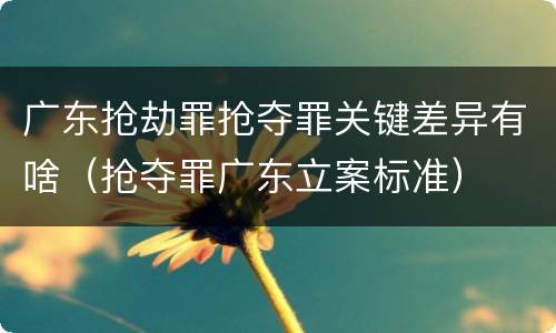 广东抢劫罪抢夺罪关键差异有啥（抢夺罪广东立案标准）