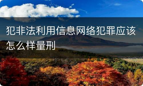 犯非法利用信息网络犯罪应该怎么样量刑