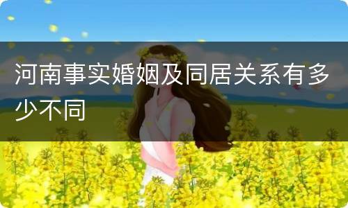 河南事实婚姻及同居关系有多少不同