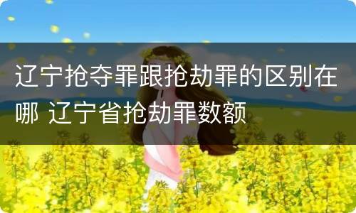 辽宁抢夺罪跟抢劫罪的区别在哪 辽宁省抢劫罪数额