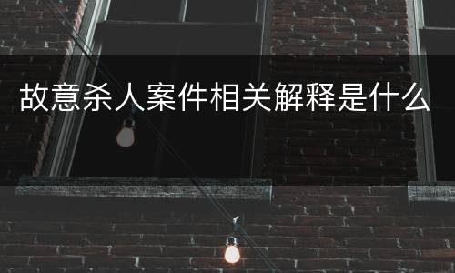 故意杀人案件相关解释是什么