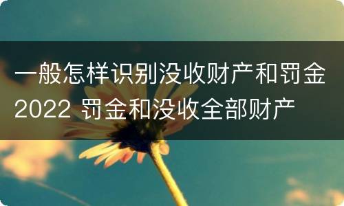 一般怎样识别没收财产和罚金2022 罚金和没收全部财产