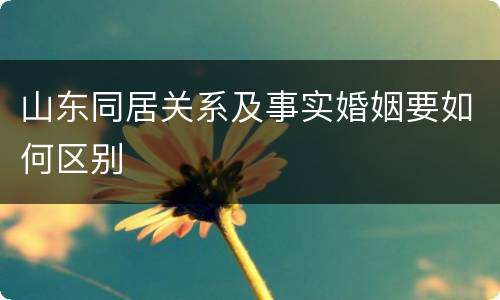 山东同居关系及事实婚姻要如何区别