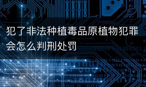 犯了非法种植毒品原植物犯罪会怎么判刑处罚