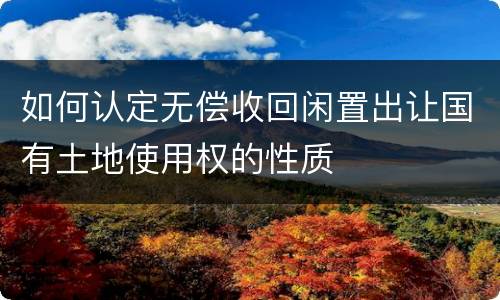 如何认定无偿收回闲置出让国有土地使用权的性质