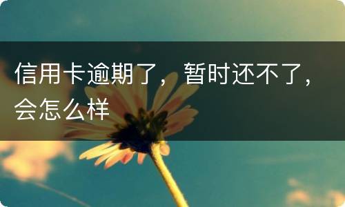 信用卡逾期了，暂时还不了，会怎么样