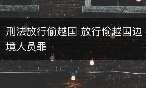 刑法放行偷越国 放行偷越国边境人员罪