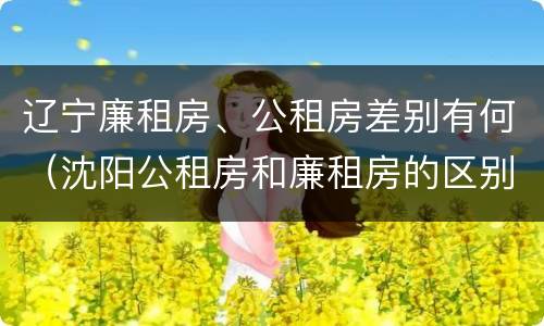 辽宁廉租房、公租房差别有何（沈阳公租房和廉租房的区别）