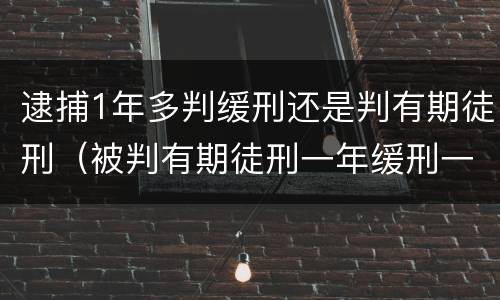 逮捕1年多判缓刑还是判有期徒刑（被判有期徒刑一年缓刑一年）