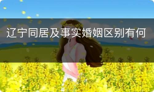 辽宁同居及事实婚姻区别有何