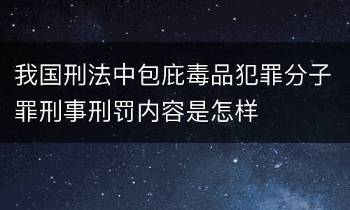 我国刑法中包庇毒品犯罪分子罪刑事刑罚内容是怎样