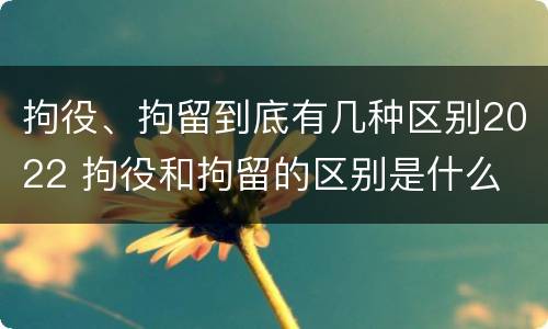 拘役、拘留到底有几种区别2022 拘役和拘留的区别是什么