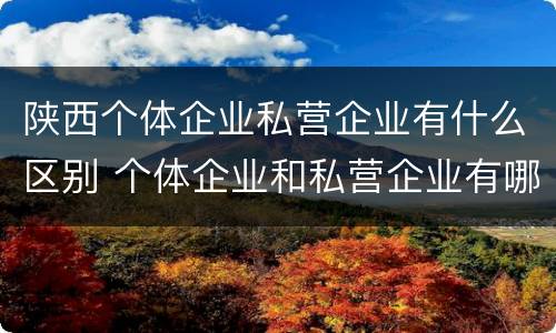 陕西个体企业私营企业有什么区别 个体企业和私营企业有哪些
