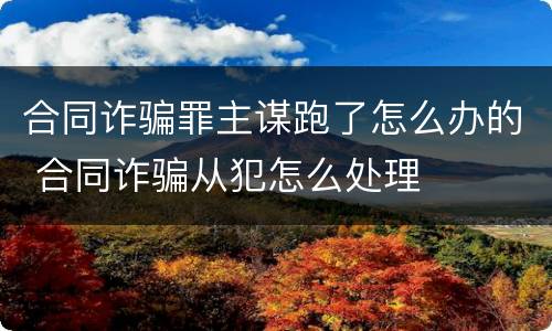 合同诈骗罪主谋跑了怎么办的 合同诈骗从犯怎么处理