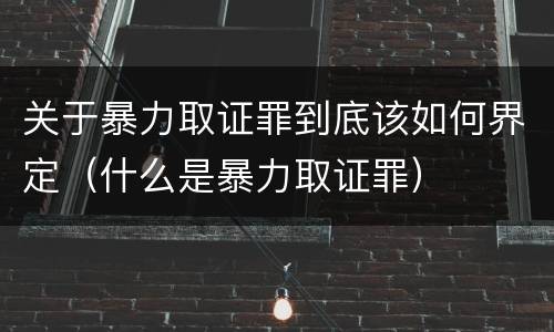 关于暴力取证罪到底该如何界定（什么是暴力取证罪）