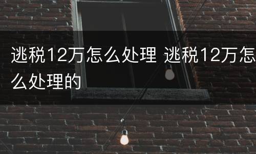 逃税12万怎么处理 逃税12万怎么处理的
