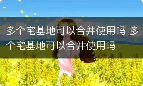 多个宅基地可以合并使用吗 多个宅基地可以合并使用吗