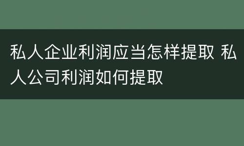 私人企业利润应当怎样提取 私人公司利润如何提取